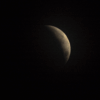 An image of the Blood Flower Super Moon.