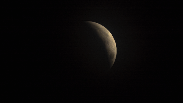 An image of the Blood Flower Super Moon.