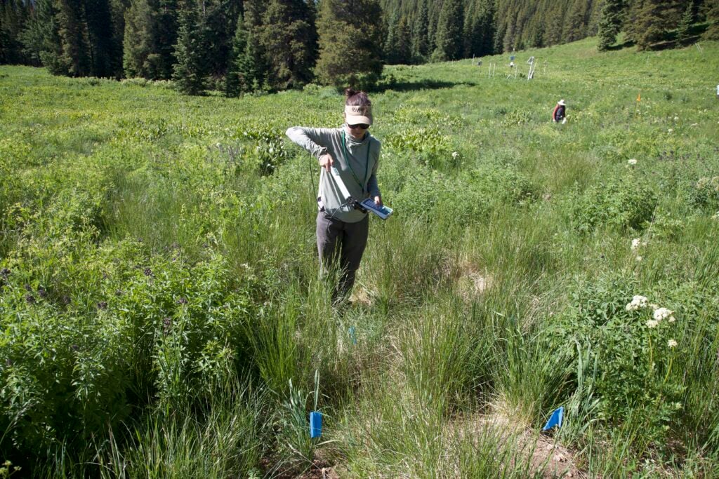 A student uses equipment in the field.