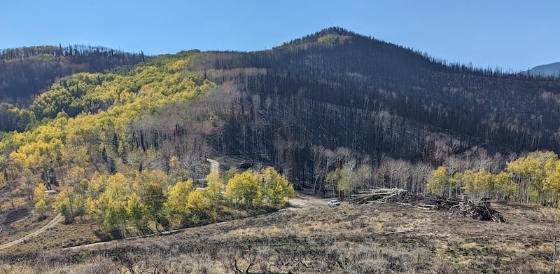 A mountainous area and forest that has been scorched by a wildfire.