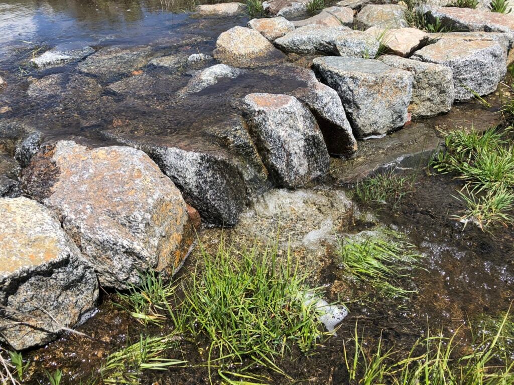 Water from a river flows over rocks.
