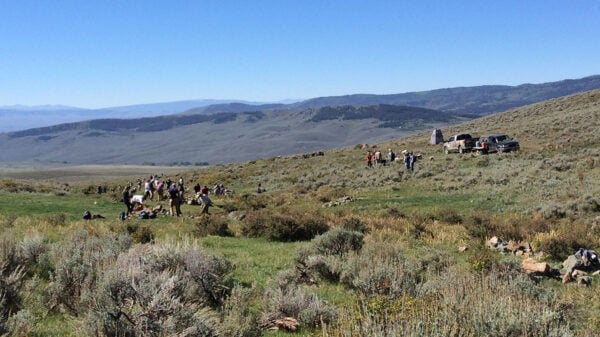 A group of researchers working in a sage covered field.